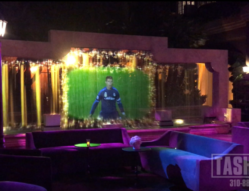 Water Screen with Video Projection